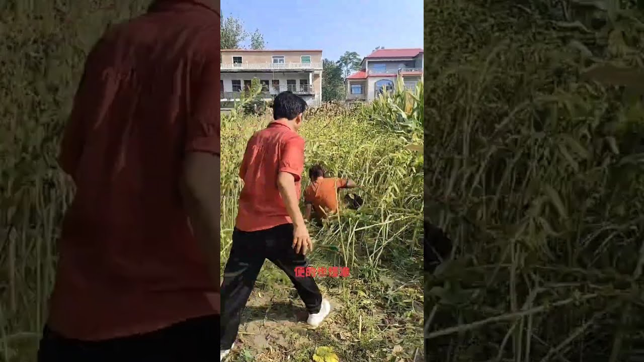 Good Morning Family Funny Videos Of Rural People Just Be Happy 