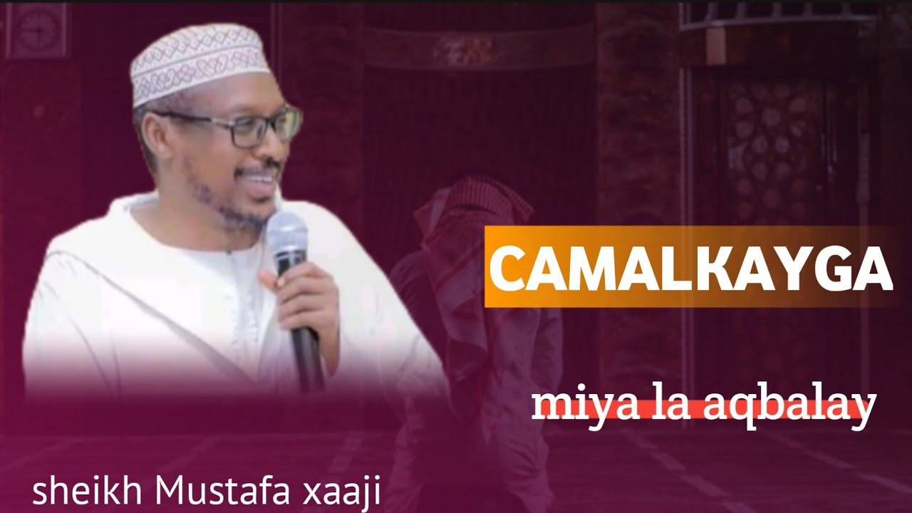 Camalkayga || miya la aqbalay sheikh Mustafa xaaji 