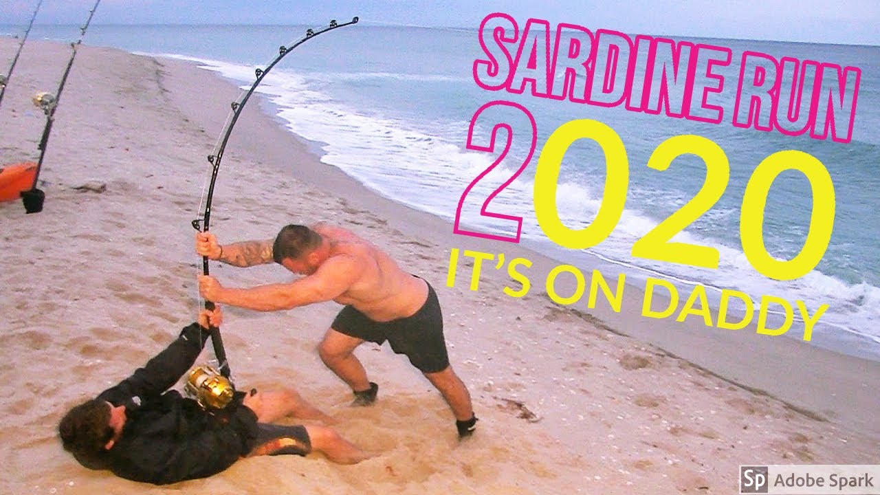 Sardine Run 2020 Part 4 YouTube