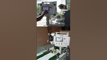 Hygienic Window Patching Systems | IP65 Stainless Steel for Meat & Frozen Food Packaging# #factory