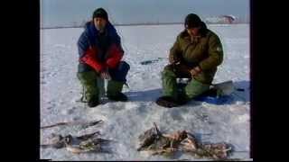 Видео Программа "Рыбацкий узел" 120 Рыбалка в Удмуртии (автор: Рыбалка в Удмуртии.)