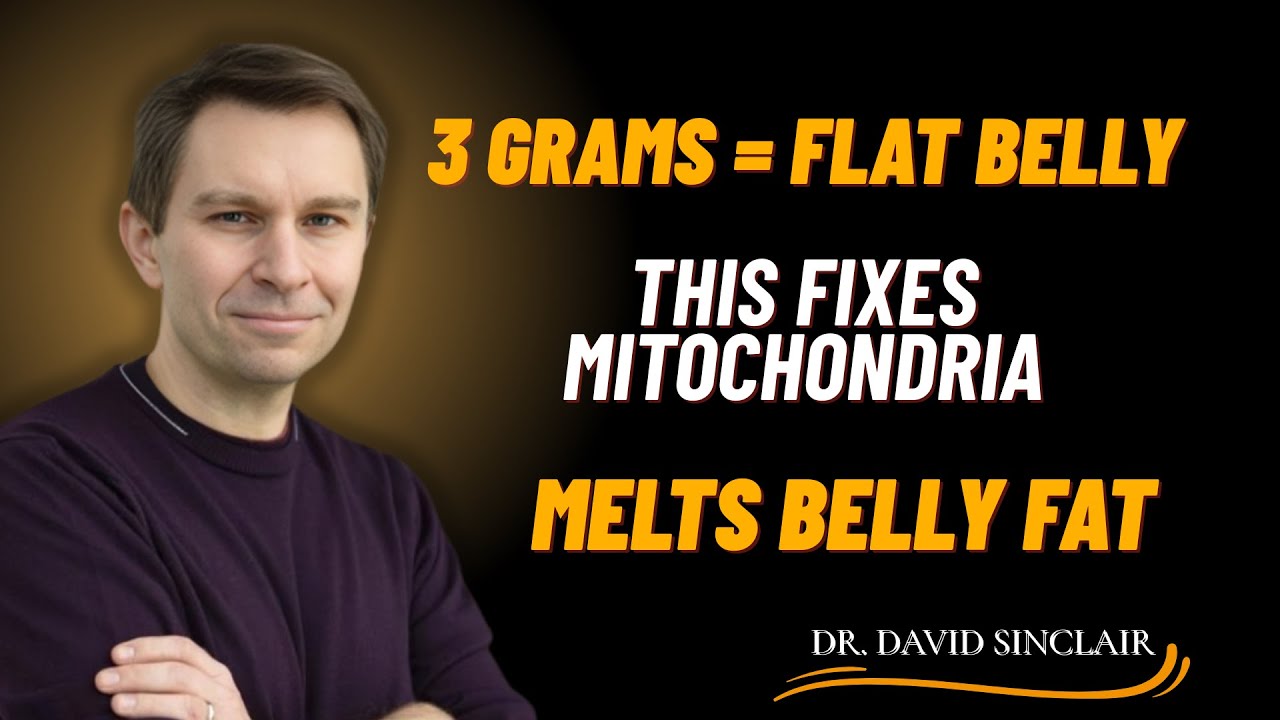 The 3g Trigger That Shrinks Visceral Fat & Fixes Mitochondrial Dysfunction | Dr. David Sinclair