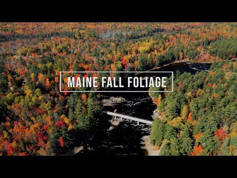 Video: Maine Fall Foliage -ajomatkat