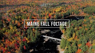 Gorgeous Maine Fall Foliage in 4K 🍁🍂