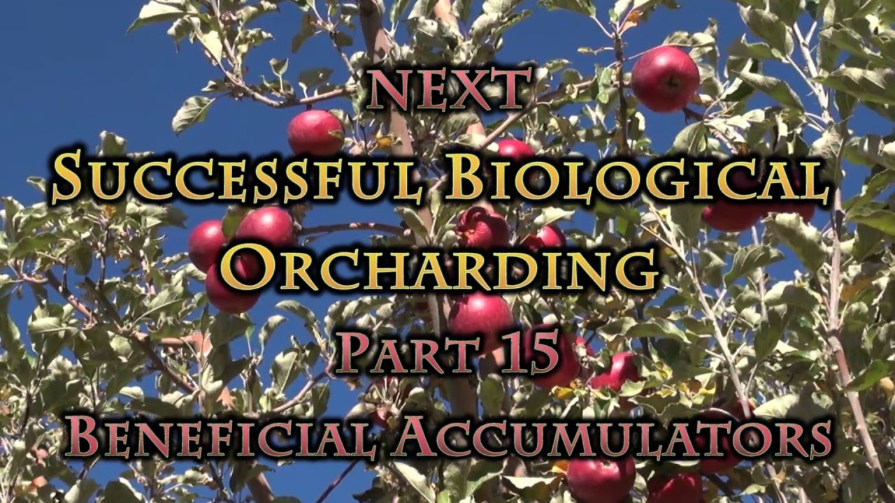 Successful Biological Orcharding with Michael Phillips Part 14 The Rhizosphere