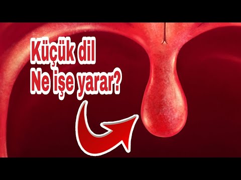 Video: Dilin Ekolojisi Nedir