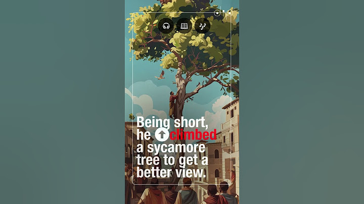Zacchaeus and the Sycamore Tree: A Meeting with Jesus