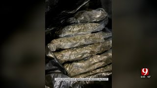 1,200 Pounds Of Marijuana Seized By OBN In Black Market Grow Bust