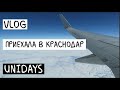 VLOG: снег в Краснодаре, будни в университете, программирование, UNIDAYS 1