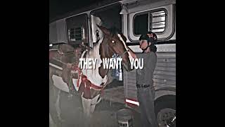 im a little bit late to the trend #horse #equestrianjourney #equestrianlife #barrelracing