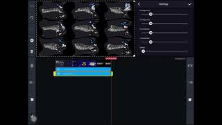 How To Make X Is Diet