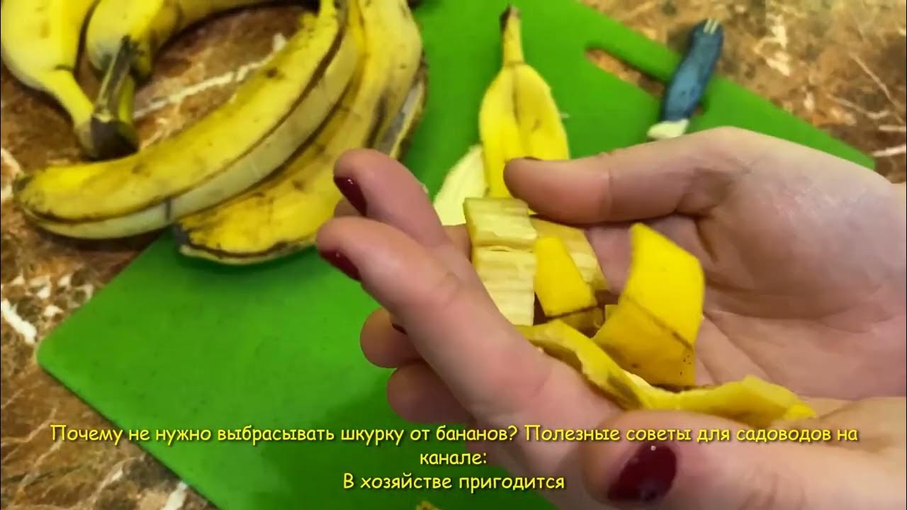 Подкормка рассады банановой кожурой рецепт. Удобрение из банановых шкурок для цветов. Кожура банана для розы. Удобрение для комнатных цветов из банана шкурок. Удобрения из кожуры банана для комнатных цветов.