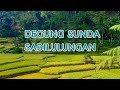 Degung Sunda Sabilulungan | Sundanese Tradisional Music Instrumental | Indonesian Traditional Music