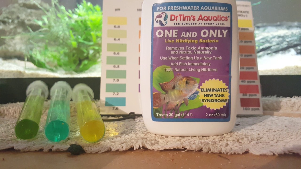 live bacteria for aquarium