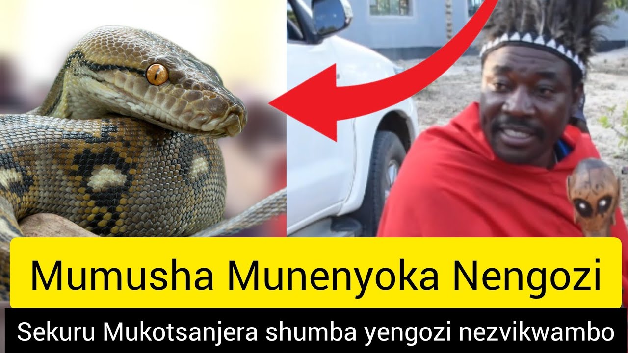 Mumusha Moonekwa Nyoka Apangozi Ya Fata Yonetsa Mumhuri