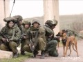 tribute to idf -×¦×”"×œ -israeli special forces -israeli Border police mag