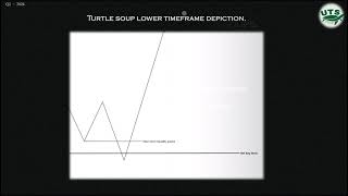 Romeo UTS Course 5 How to pick the best Turtle Soup