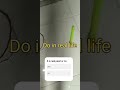 It is real pearl or no