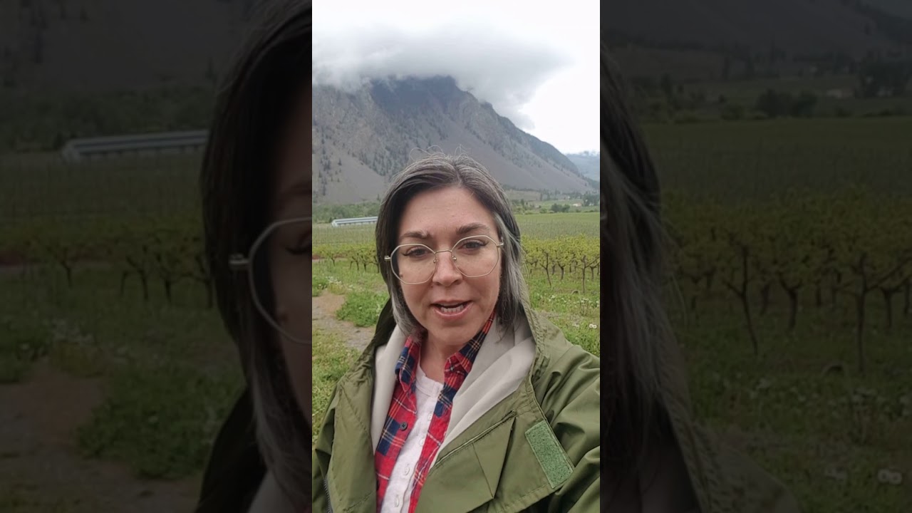 CFP Cherry Development 12May20