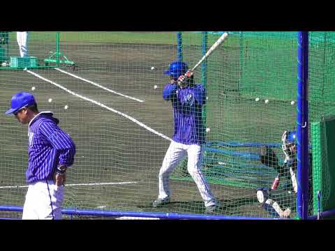 2018年2月15日 横浜DeNAベイスターズ春季キャンプ 大和選手のフリー打撃練習 【Yokohama db専用動画複製・転用禁止】
