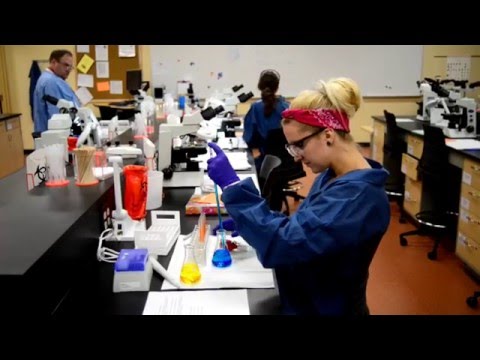 Medical Laboratory Technician