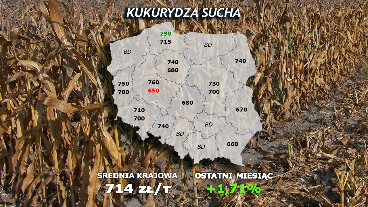 #323 agro wiadomości nonstop - 17.02.2026