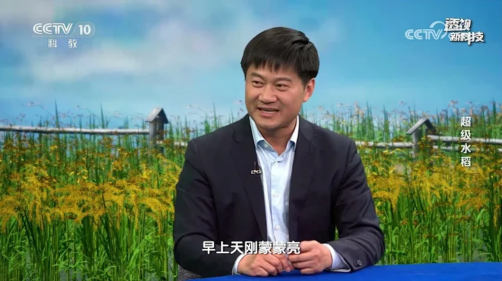 《透視新科技》 20240413 超級水稻|CCTV科教 - 天天要聞