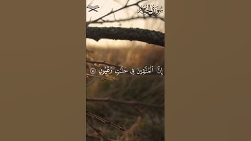 حالات واتس تلاوة خاشعة ومؤثرة للقرآن الكريم بصوت الشيخ هزاع البلوشي #حالات_واتس #قرآن