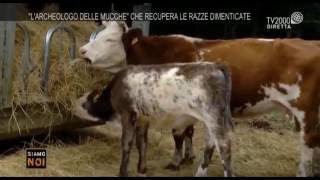 Siamo noi - Cassano Spinola, Azienda Agricola La Castagnola