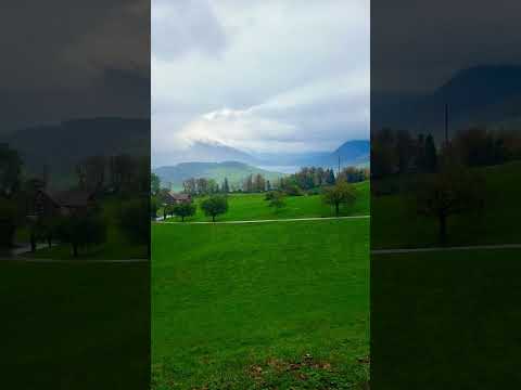 أنتهت رحلة صيد الغزلان صيد سويسرا