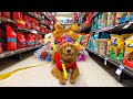 My Dog Buys Christmas Gifts for Shelter Dogs!