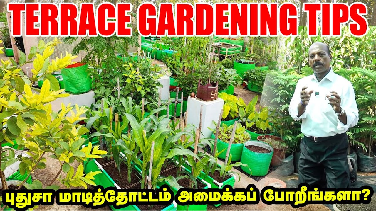 Terrace Gardening Tips in Tamil | புதுசா மாடித்தோட்டம் அமைக்கப் போறீங்களா? | Expert Advice