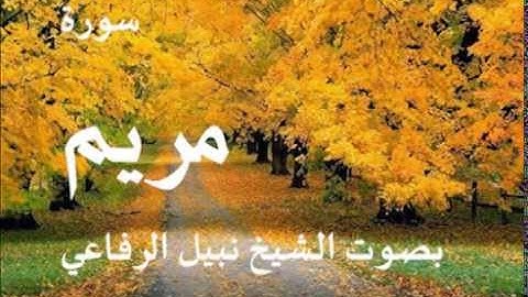 سورة مريم بصوت الشيخ / نبيل الرفاعي 19