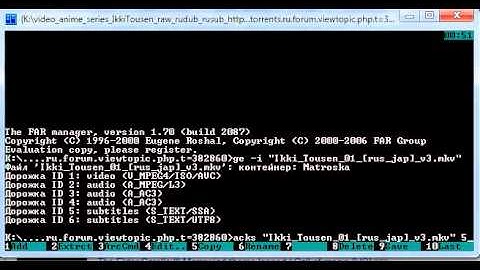Howto mkvextract subs