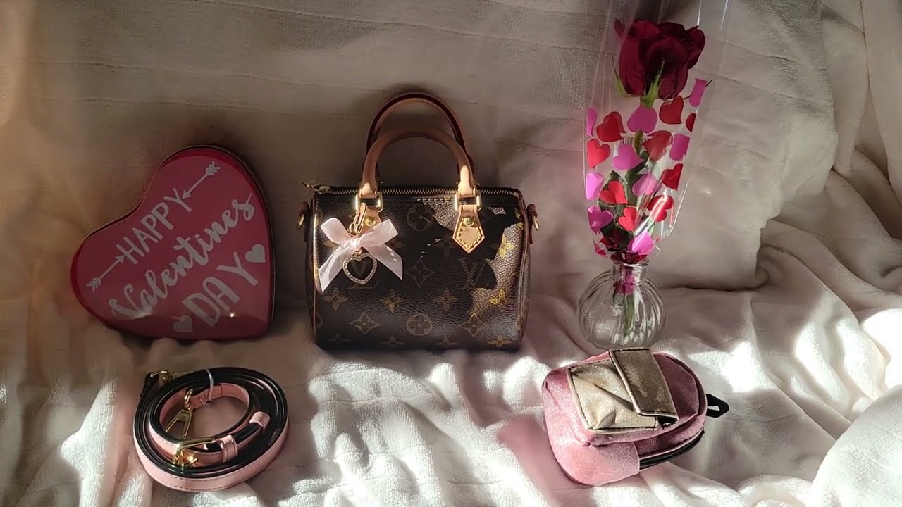 Louis Vuitton, speedy nano, What's in my bag