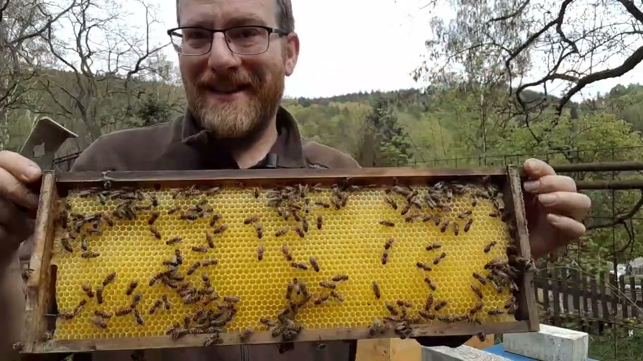 Chov matek - Nicot systém 1. díl
