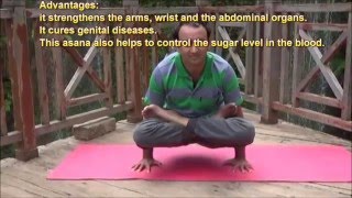 How to do Tolasana (scale pose) by N. Sheshagiri