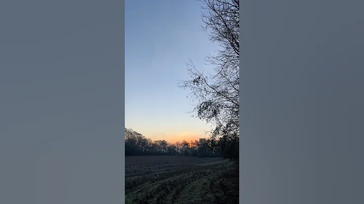 Sound off in the comments if you’ve driven “I-65” #singersongwriter #originalmusic