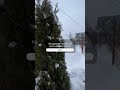 Прозрачный купол Атмосфера. Завалило снегом.