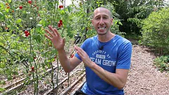 This might be my most important video.