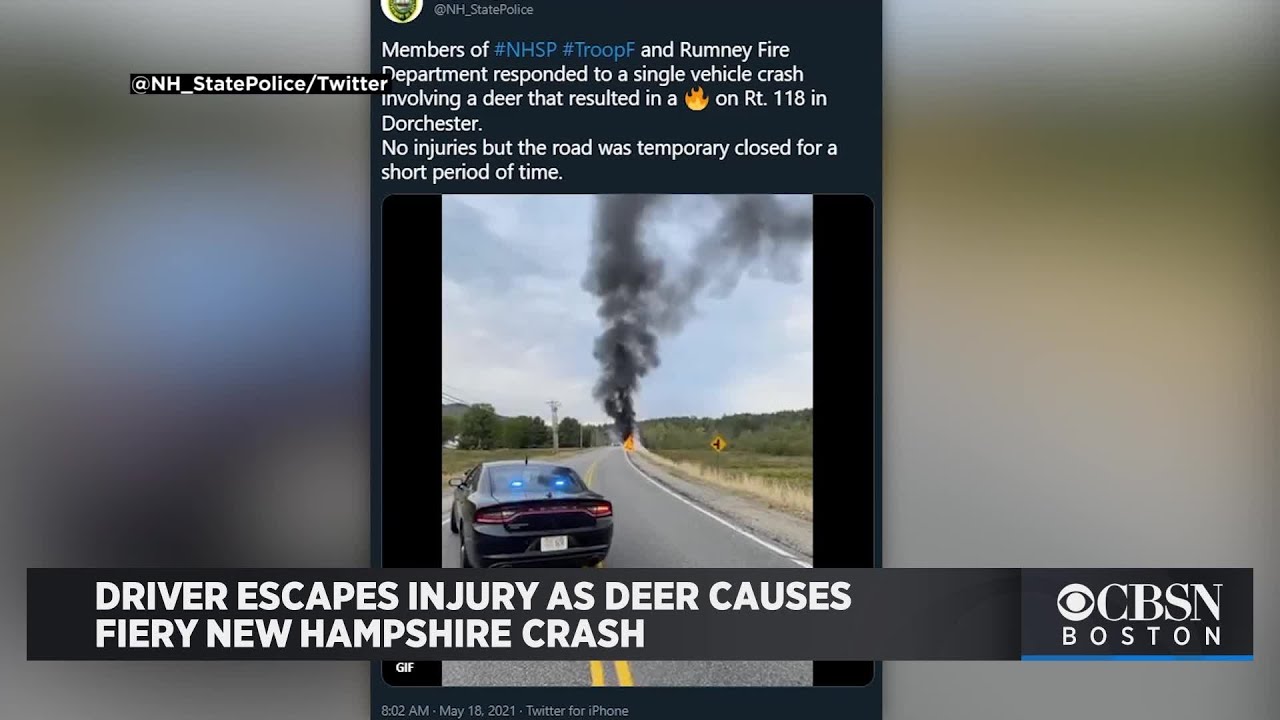 Driver Escapes Injury As Deer Causes Fiery New Hampshire Crash