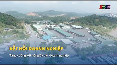 Tăng cường kết nối giữa các doanh nghiệp| THLC