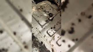 جربت محول الصدأ INT على نيسان صني N16 😳 يستحق ولا أي كلام؟