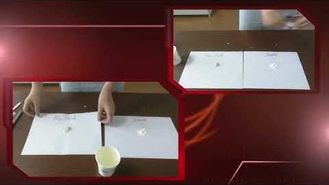 how to mix bile acids in your shrimp feed