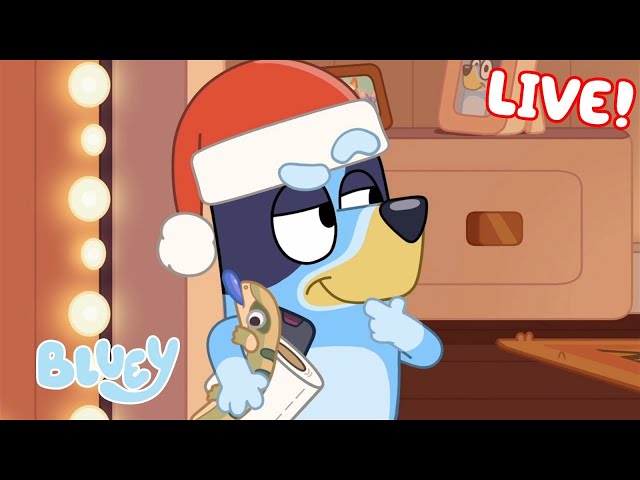 🔴LIVE: It's a Bluey Christmas | 40 MINUTES | Bluey class=