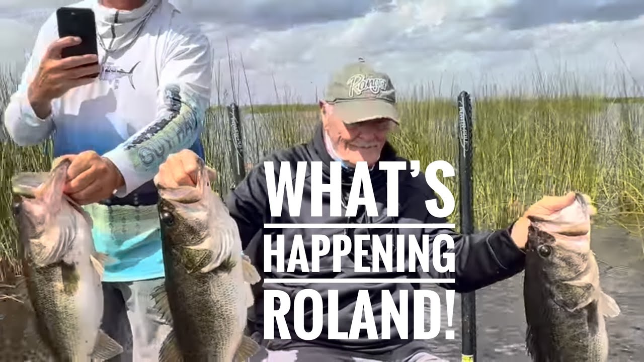 What’s Happening Roland?