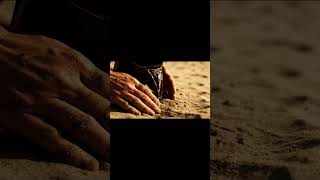 The Nile’s Role in Building the Pyramids