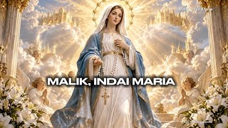 MALIK, INDAI MARIA | Look Down, O Mother Mary | Marian Hymn (cover)