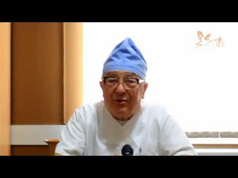 ქალის ანატომია - ქალის შიდა სასქესო ორგანოების აგებულება