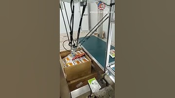 Spider type robot hand picking sorting feeding cartoning machine